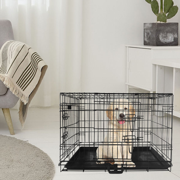 Top Paw® Single Door Folding Wire Dog Crate Dog Crates Kennels PetSmart